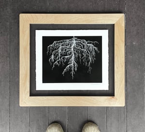 Roots Framed in Salvaged Maple 2