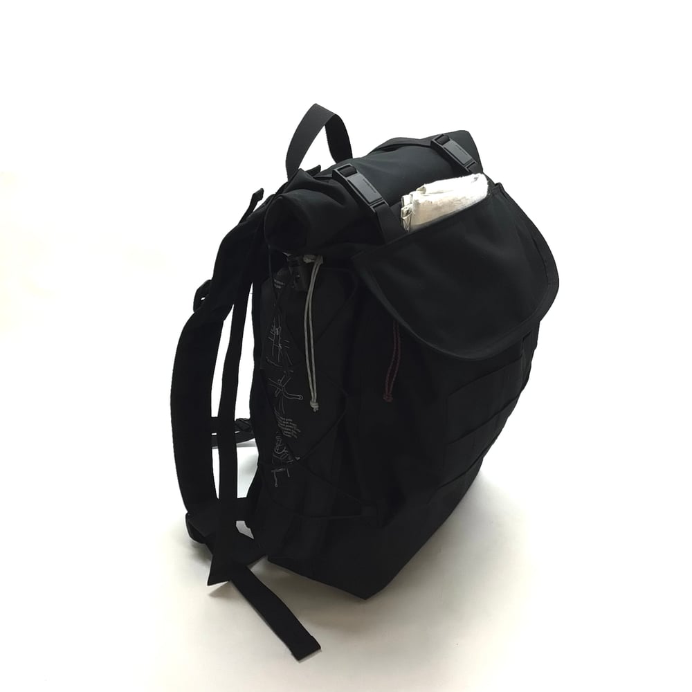 Image of scavenger