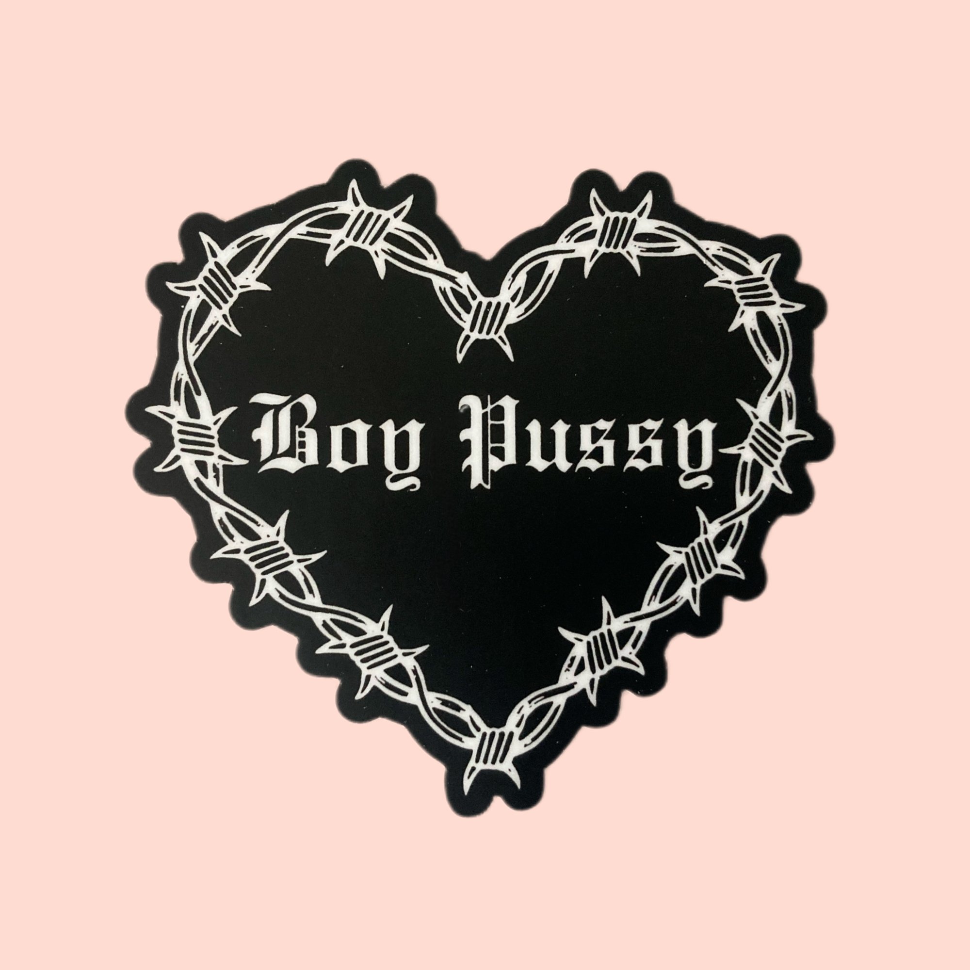 BOY PUSSY/ GIRL DICK STICKERS | BOY PUSSY GIRL DICK