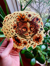 China Cat Sunflower