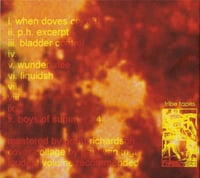 Image 2 of Max Julian Eastman "Model Of Malehood" CD Digipak (Tribe Tapes)