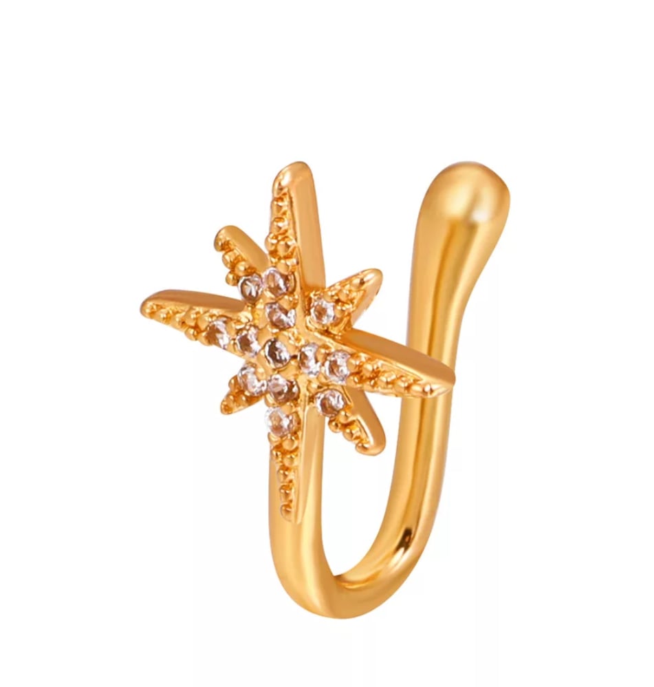Image of Sparkly🌟Star