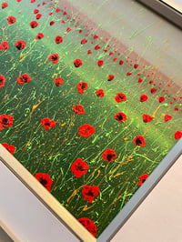 Image 2 of 'Poppy Haze'