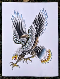 Image 1 of Eagle