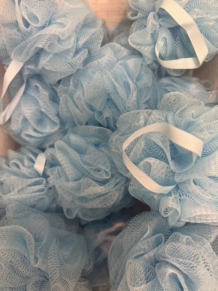 Image of Loofah Sponge