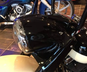 Image of Raked nacelle for softails