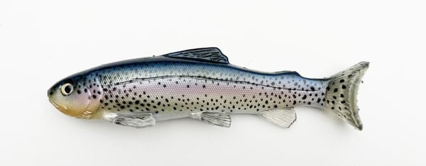 Image of 9.25" Line Through/Weedless Trout - Blue Back Native