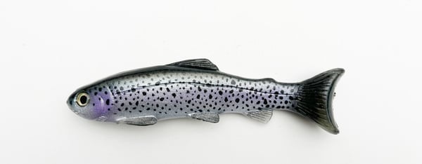 Image of 7.5" Line Through/Weedless Trout - Juvi Trout