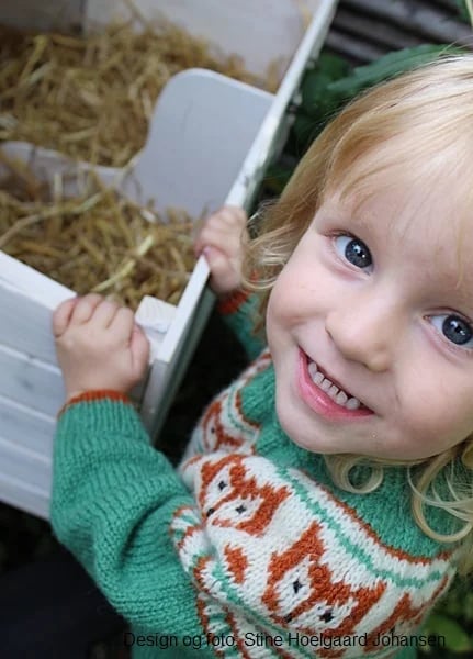 Image of Rævestreger