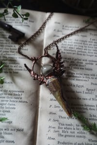 Image 4 of Fern Potion Vile