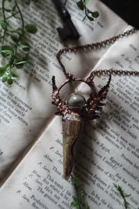 Image 5 of Fern Potion Vile