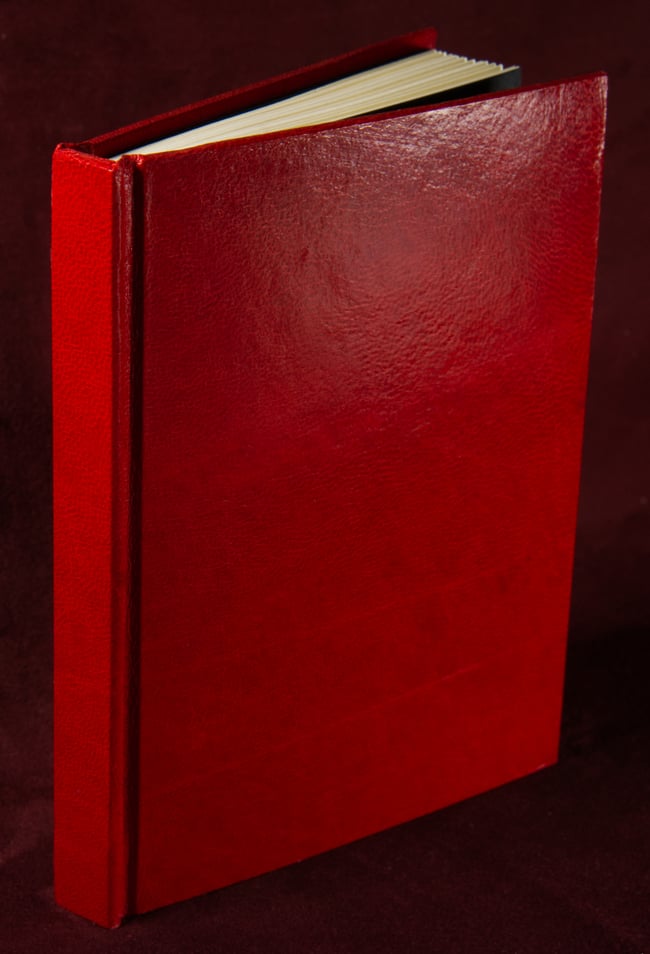 Flame Red leather Notebook