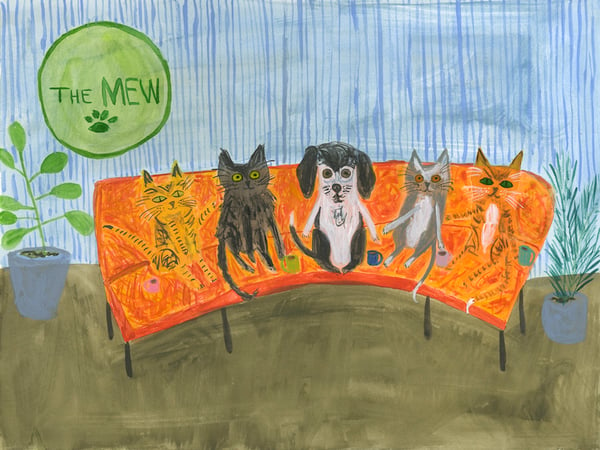 Image of Today on The MEW - a dog's perspective. original illustration
