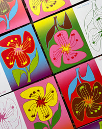 Image 1 of Flower Cards