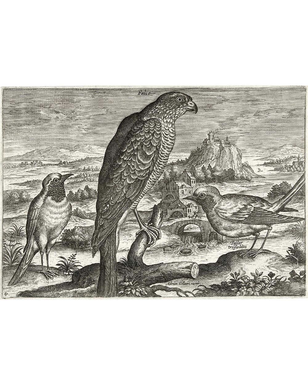''Some birds in a landscape'' (1598 - 1618)
