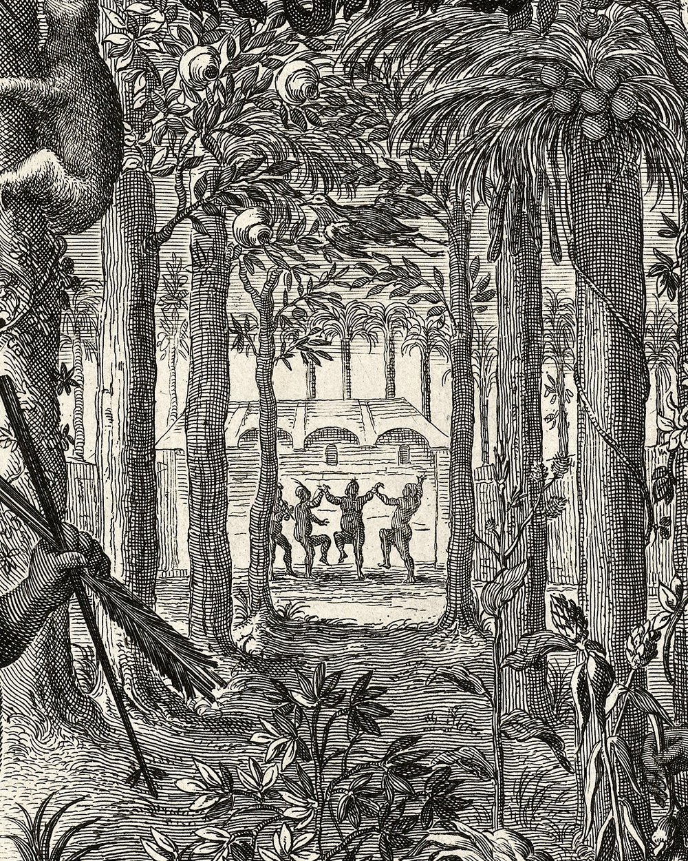 "Brazilians in a forest" (1648)