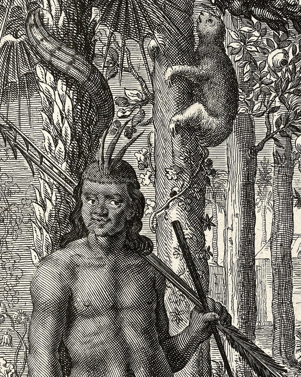 "Brazilians in a forest" (1648)