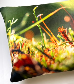 Image of Tree mosses, printed velvet cushion