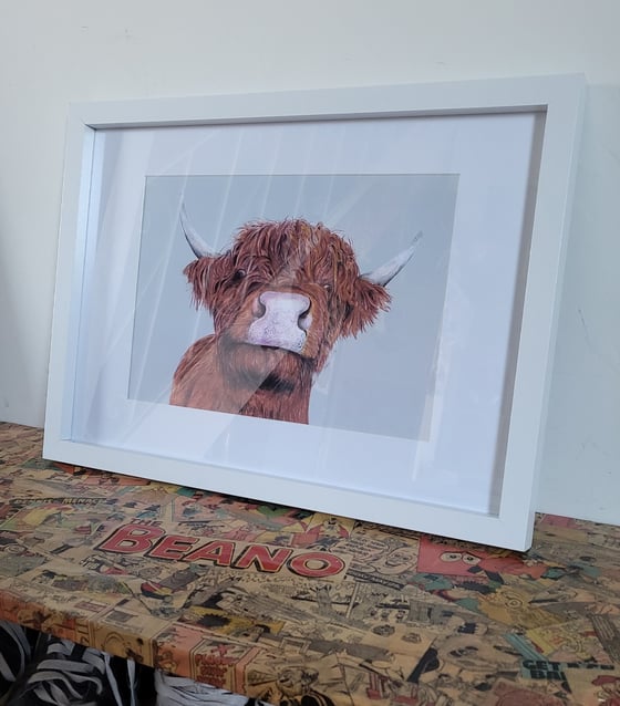 Image of Bad Hair Day - framed edition.