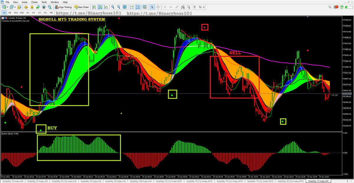 Image of 'SMILE' Big Bull Wins Forex Most Profitable Trading System (includes freebies worth $7k for free)