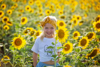 Image 4 of Sunflower Field Minis 🌻