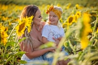 Image 5 of Sunflower Field Minis 🌻