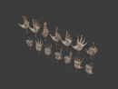 Image 2 of Clone Hands