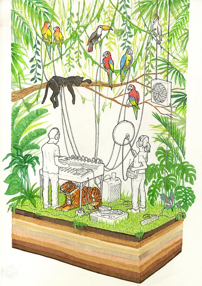 Image of la selva (nunca cierra)