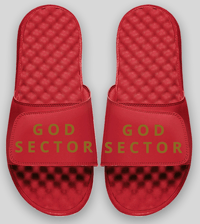 Image 2 of God Sector | Slides 