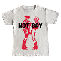 NOT GAY T-Shirt 