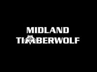 Image 1 of Adult Hooded (S-XL) Black One Color front imprint White logo/Timberwolves (name/shipping additional)