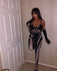 Image 14 of Crystal Spiral Mesh Catsuit, Gloves and Wings Set