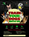 LET US TRAIN YOUR DOG 