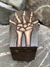 Skeleton coffin