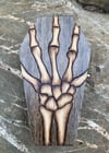 Skeleton coffin