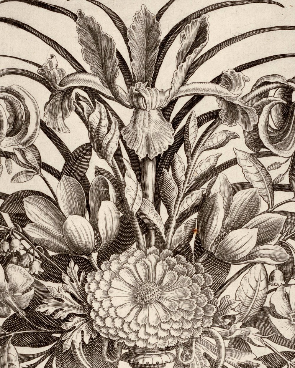 ''Polyptoton de Flore (The Variance of Flowers)'' (1600)