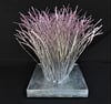 WINTER SPECTACULAR SALON   Dennis Dezmain - Pink Grass