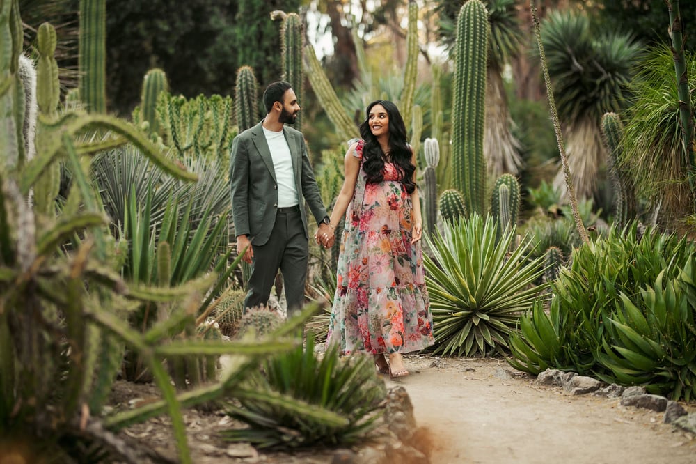 Image of Cactus Garden
