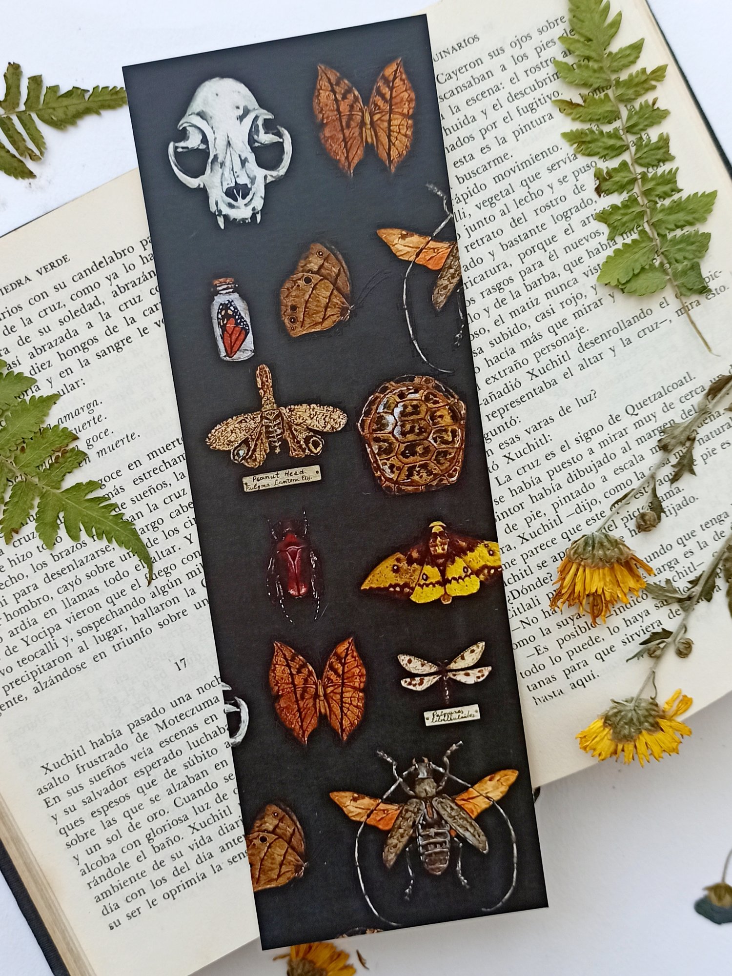 Image of Oddities Collection Bookmarks 