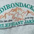 Embroidered Adirondacks Sweatshirt - Online Exclusive Image 2