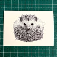 Image 1 of Hedgehog Ball Greeting Card