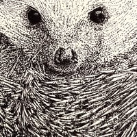 Image 2 of Hedgehog Ball Greeting Card