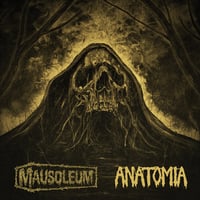 Image 1 of Mausoleum / Anatomia