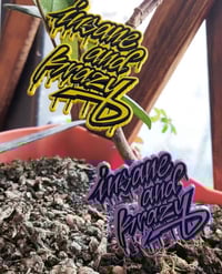 Insane And Krazy Logo Pins