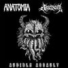 ANATOMIA / ABSCONDER - AUDIBLE ASSAULT "SPLIT" CD