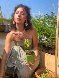 Image 2 of Romance in ballet  