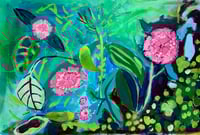 Dianthus 