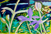 Violeta