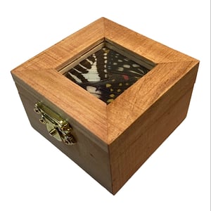Image of Real Butterfly Ring Box 