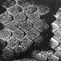 Image 2 of Snake Print
